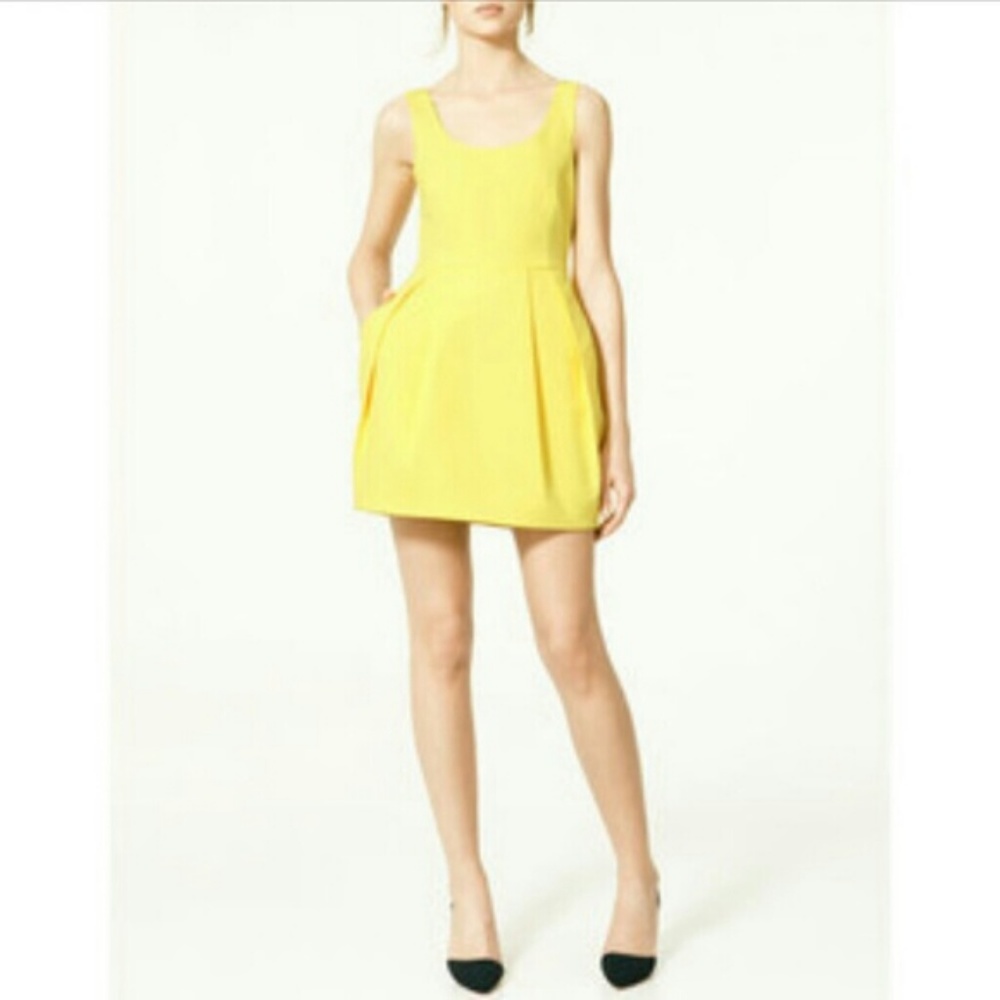 ZARA TULIP MINI DRESS